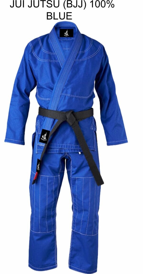 Brazilian Jiu-Jitsu (BJJ) Techniques